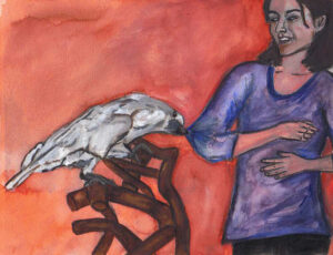 Cockatoo (part of a series of approx. 30 illustrations) - watercolor by Jenny S.W. Lee