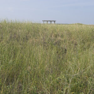 Salisbury Beach Massachusetts - photo by Jenny SW Lee