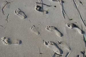 Salisbury Beach Massachusetts - photo by Jenny SW Lee