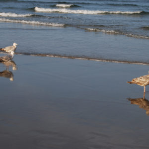 Salisbury Beach Massachusetts - photo by Jenny SW Lee