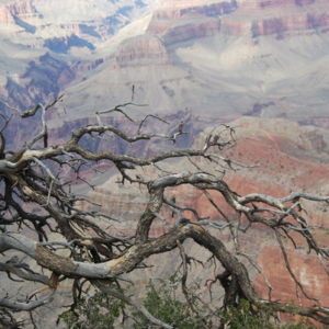 South Rim Grand Canyon. Photography by Jenny SW Lee