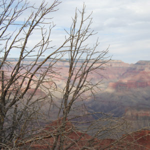 South Rim Grand Canyon. Photography by Jenny SW Lee