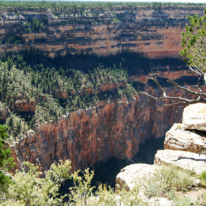 South Rim Grand Canyon. Photography by Jenny SW Lee