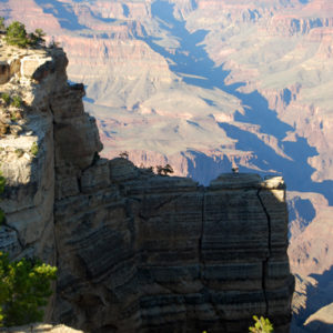 South Rim Grand Canyon. Photography by Jenny SW Lee