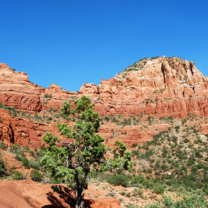 Sedona Red Rock Canyon - Photography by Jenny SW Lee