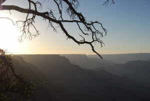 South Rim Grand Canyon. Photography by Jenny SW Lee