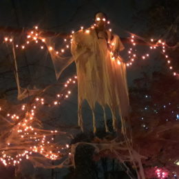Halloween decorations