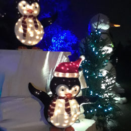 Bloedel Floral Conservatory in Queen Elizabeth Park during the holiday season