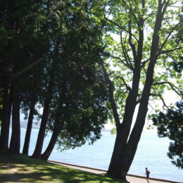 Along the Seawall in Stanley Park.