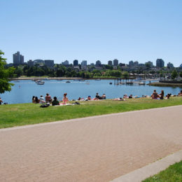 Along the Seawall in Stanley Park.