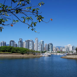 Along the Seawall in Stanley Park.