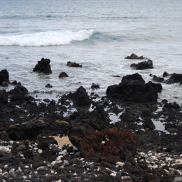 La Perouse Bay