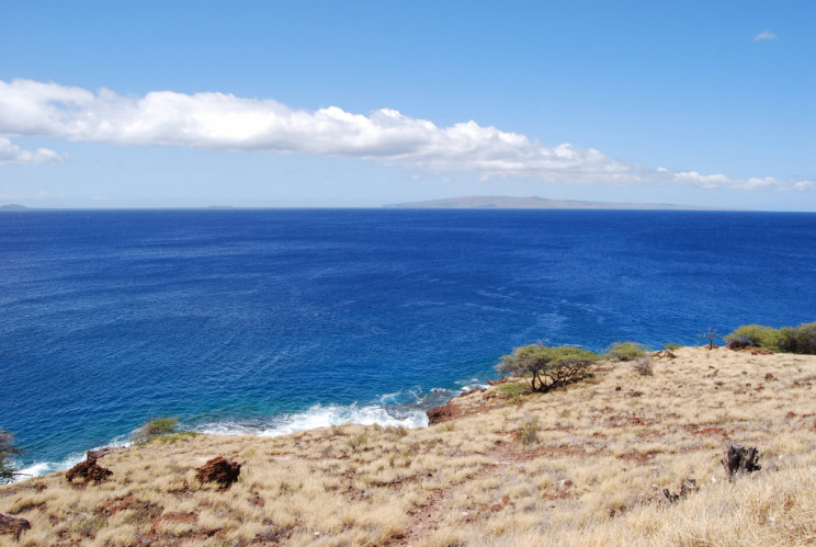 Maui Hawaii - photography by Jenny SW Lee