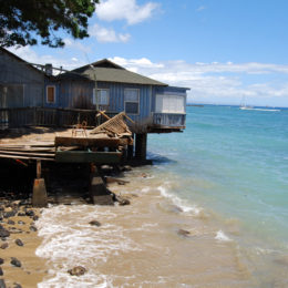 Lahaina beach