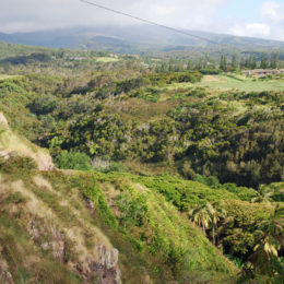 Along the Kahekili Highway