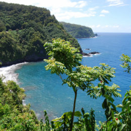 Waianapanapa Black Sand Beach