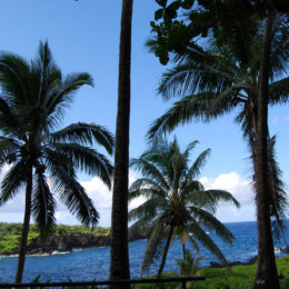 Waianapanapa Black Sand Beach