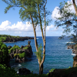 Waianapanapa Black Sand Beach