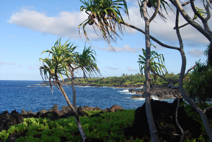 Waianapanapa Black Sand Beach, Maui Hawaii - photography by Jenny SW Lee