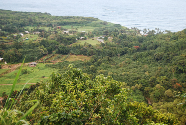 Along the Kahekili Highway, Maui Hawaii - photography by Jenny SW Lee
