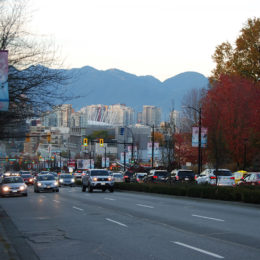 Autumn in Fairview