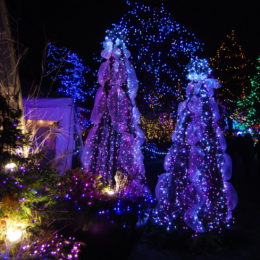 VanDusen Festival of Lights