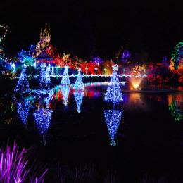VanDusen Festival of Lights | Jenny S.W. Lee Photography
