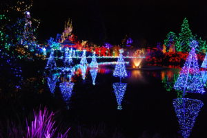 VanDusen Festival of Lights | Jenny S.W. Lee Photography