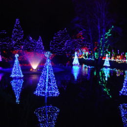 VanDusen Festival of Lights | Jenny S.W. Lee Photography