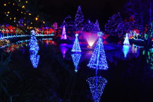 VanDusen Festival of Lights | Jenny S.W. Lee Photography