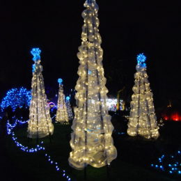 VanDusen Festival of Lights | Jenny S.W. Lee Photography