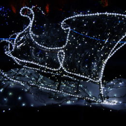 sleigh