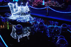 VanDusen Festival of Lights | Jenny S.W. Lee Photography