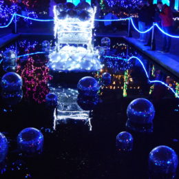 VanDusen Festival of Lights | Jenny S.W. Lee Photography