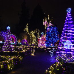VanDusen Festival of Lights | Jenny S.W. Lee Photography