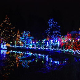 VanDusen Festival of Lights | Jenny S.W. Lee Photography
