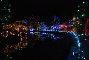 VanDusen Festival of Lights | Jenny S.W. Lee Photography