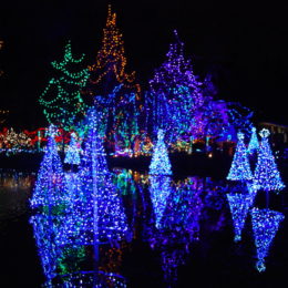 VanDusen Festival of Lights | Jenny S.W. Lee Photography
