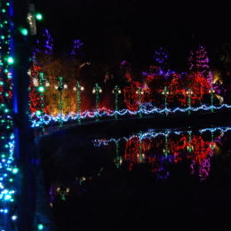VanDusen Festival of Lights | Jenny S.W. Lee Photography