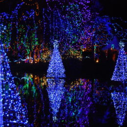 VanDusen Festival of Lights | Jenny S.W. Lee Photography