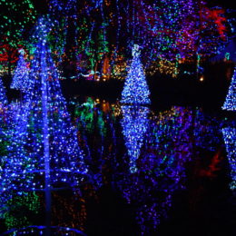 VanDusen Festival of Lights | Jenny S.W. Lee Photography