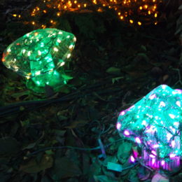 mushroom lights