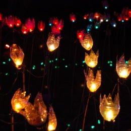 plastic bottle tulip lights