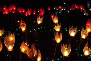 VanDusen Festival of Lights | Jenny S.W. Lee Photography