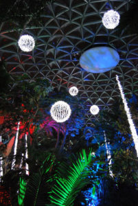 Bloedel Floral Conservatory in Queen Elizabeth Park | Jenny SW Lee Photography