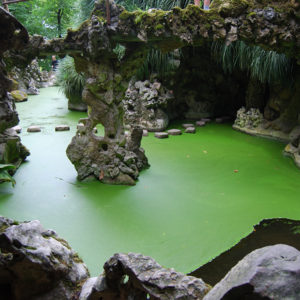 Quinta de Regaleria