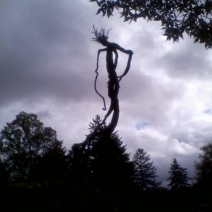 Venusvine