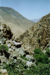 Essaourira, Morroco - photography by Jenny SW Lee