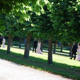 Observing a wedding ceremony in Ulriksdals slott, Stockholm park