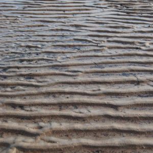 Ripples on sand of Seal Harbor